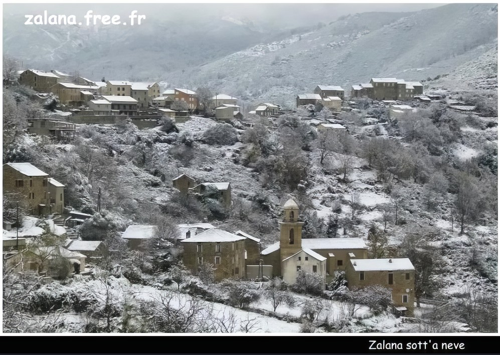 Zalana sous la neige