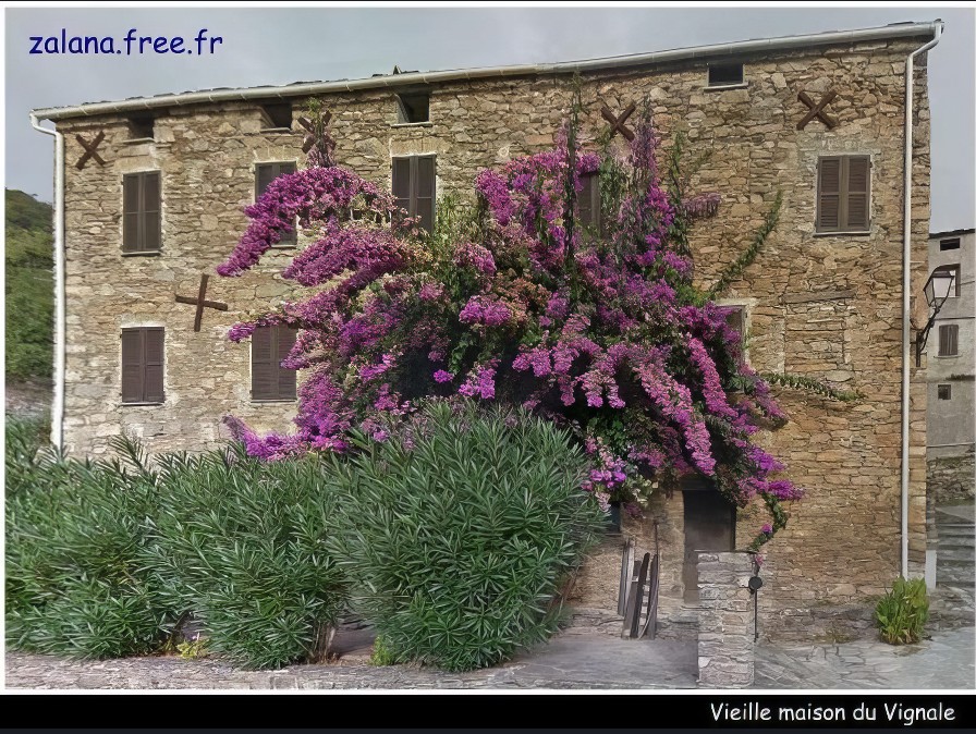 Vieille maison du Vignale
