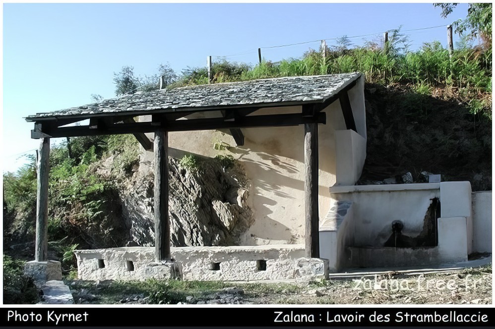 Zalana Strambellaccie