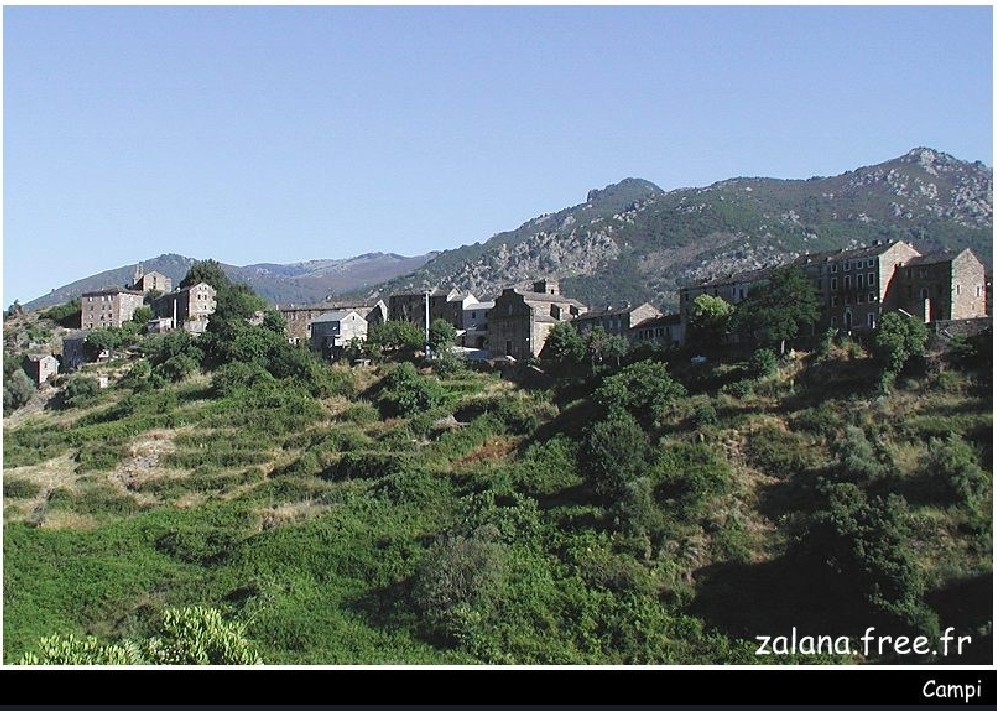 Campi